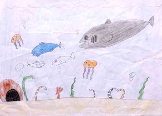 海の中でくらす元気ないきものたち