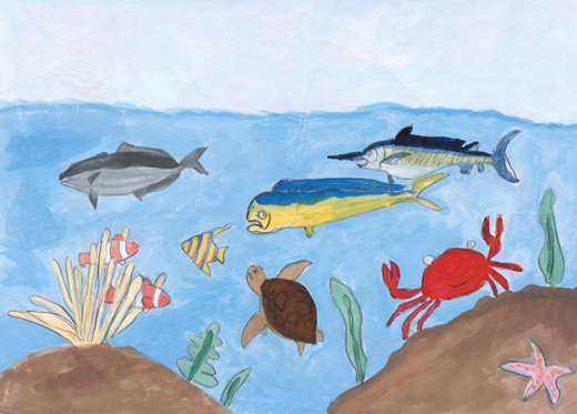 きれいな海の生きもの