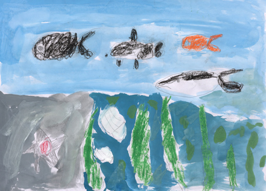 元気にあそぶ魚のようす