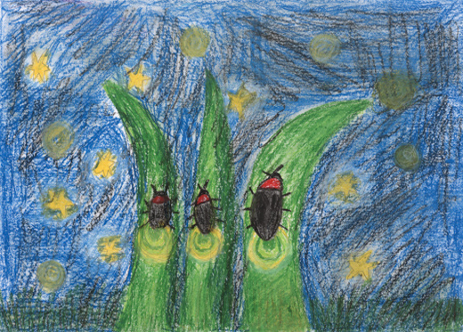 きれいな水がながれるかわ