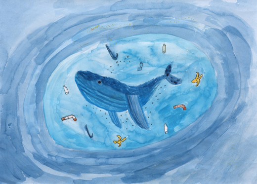 クジラのい場所