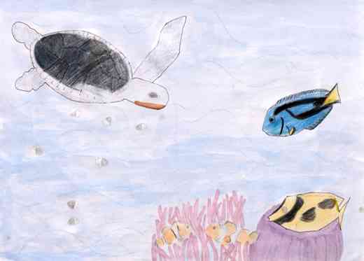 海で生きる生き物たち