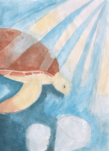 食べられるクラゲ