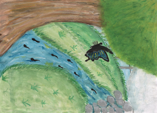 私の知らない自然の環境