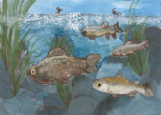 きれいな水で泳ぐ魚