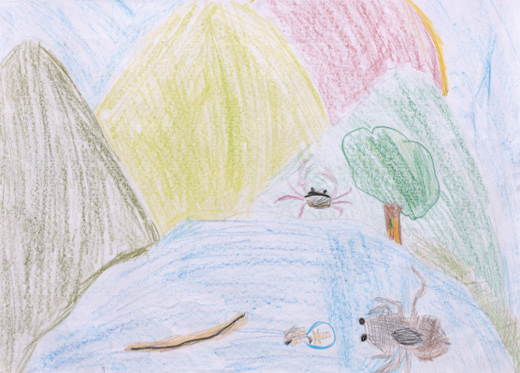 水には生き物がたくさん