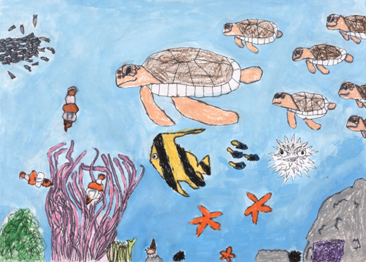 きれいな海の中