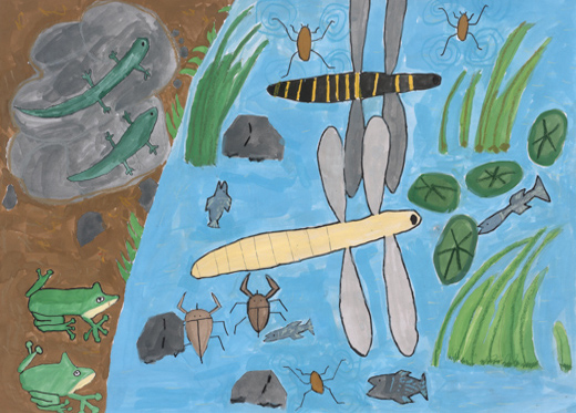 生き物たちの池