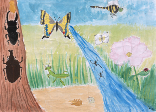 きれいな川と昆虫たち