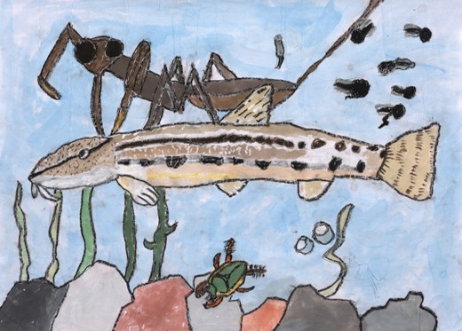 いきものがいっぱいの川