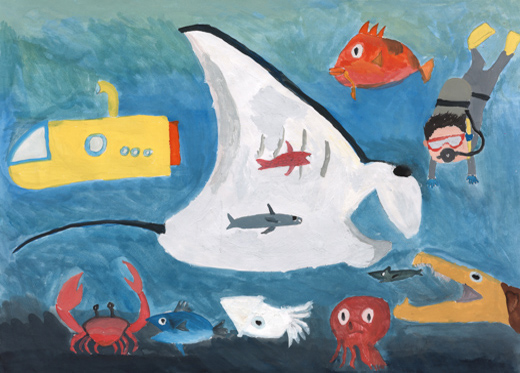 きれいな海と魚たち