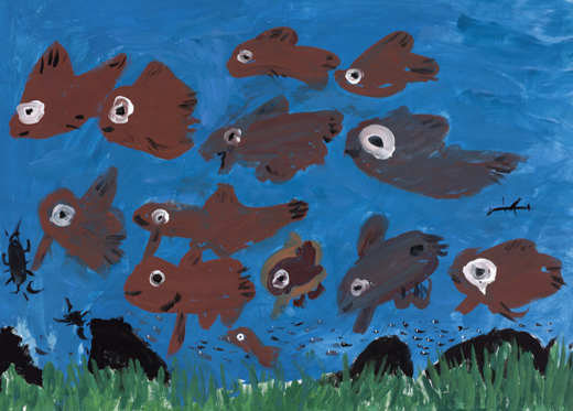 余呉川の生き物たち