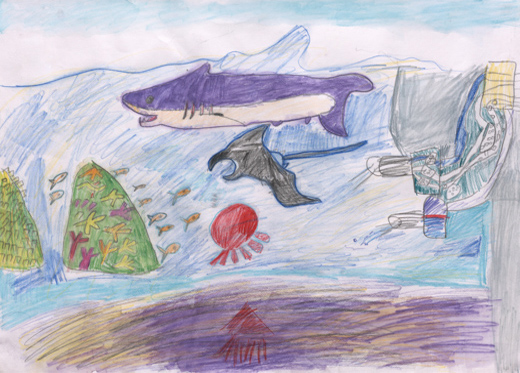 うみをきれいにするきかい。