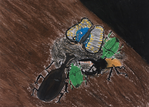 午前3時の夏の森