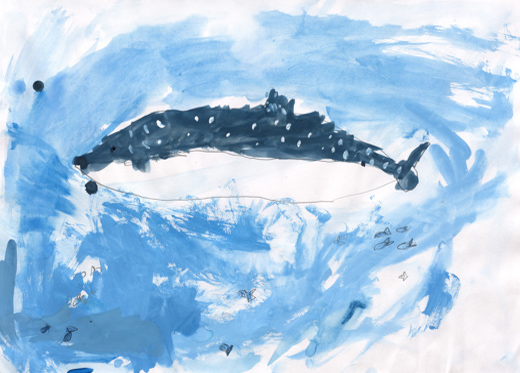 およいでいるジンベエザメ