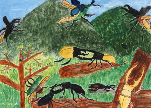 きれいな空気でいきる世界中の昆虫