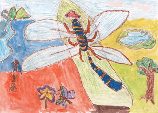 いろとりどりの自然