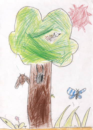 虫たちのくらし