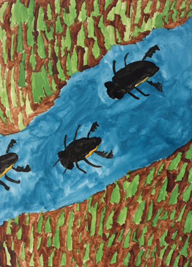 水を泳ぐゲンゴロウ