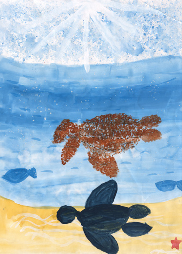 大海原をゆっくり泳ぐウミガメ