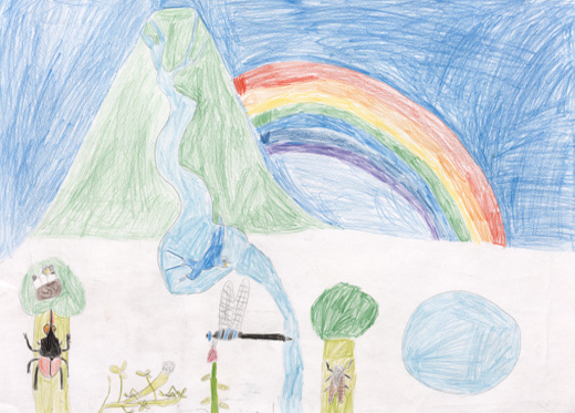 自然でのびのびとくらす生き物