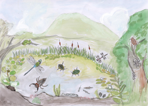 ギンヤンマの里