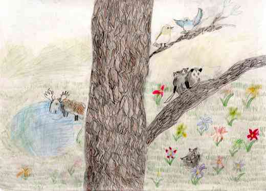 自然と緑と生きものの命