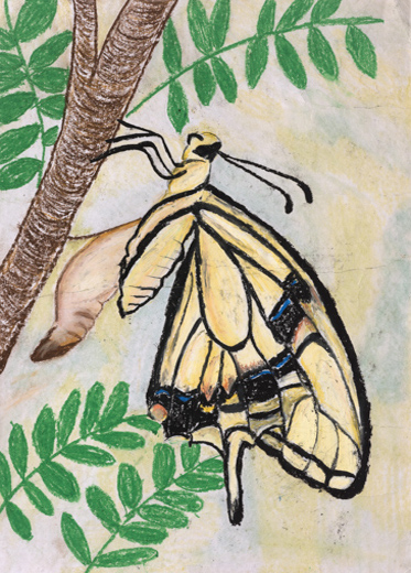 新しい命が生まれたよ