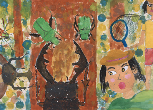 雑木林の昆虫たち