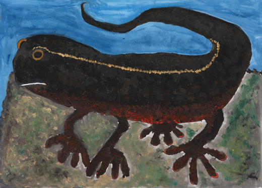 アカハライモリ