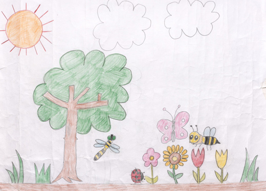 色々な季節の昆虫と自然