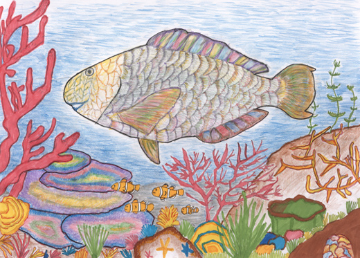 宮古島の珊瑚礁の海