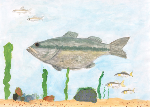 琵琶湖の魚たち