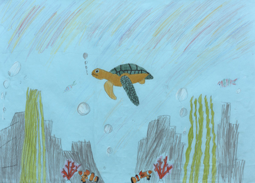 海と亀