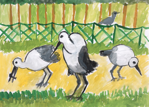 よみがえるコウノトリ