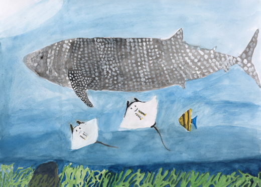 元気で大きい育ちよいジンベエザメ