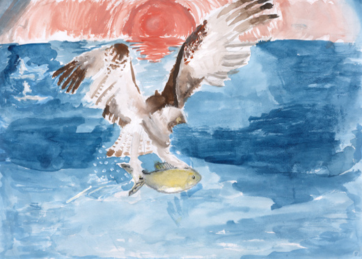 美しく、自由きままな鳥たち。