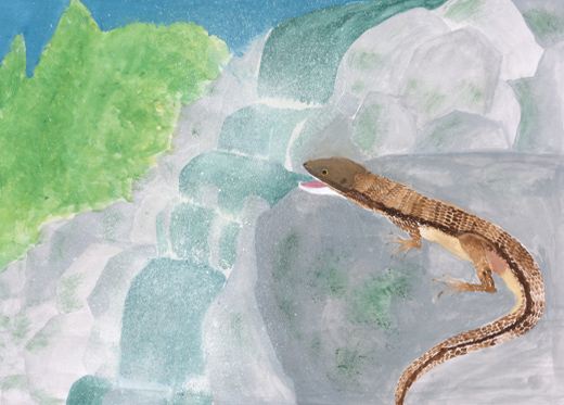 カナヘビに暮らしてほしい自然