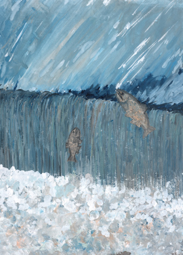 ビワマスが生息できる未来へ