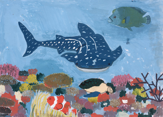 サンゴ礁の海でゆうがに泳ぐジンベイザメ