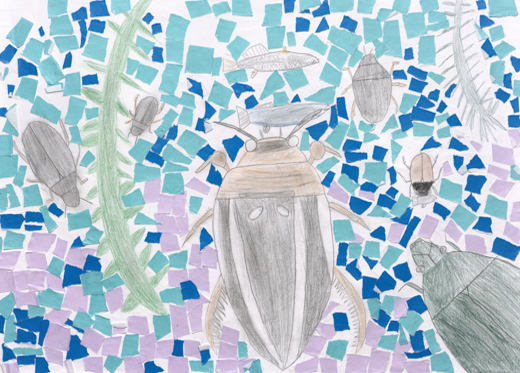 ゲンゴロウが大好き