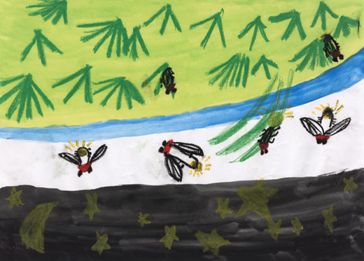 きれいな川とホタルの光