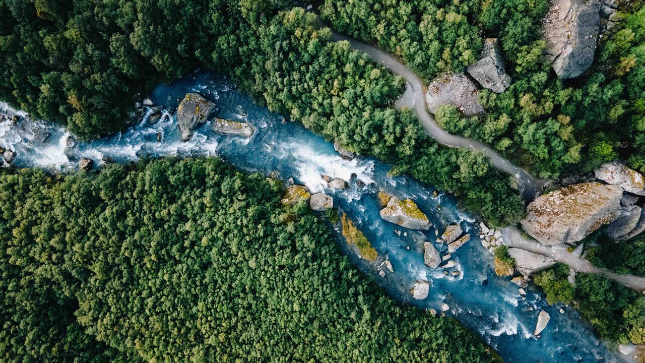 環境への取り組み紹介ページへ