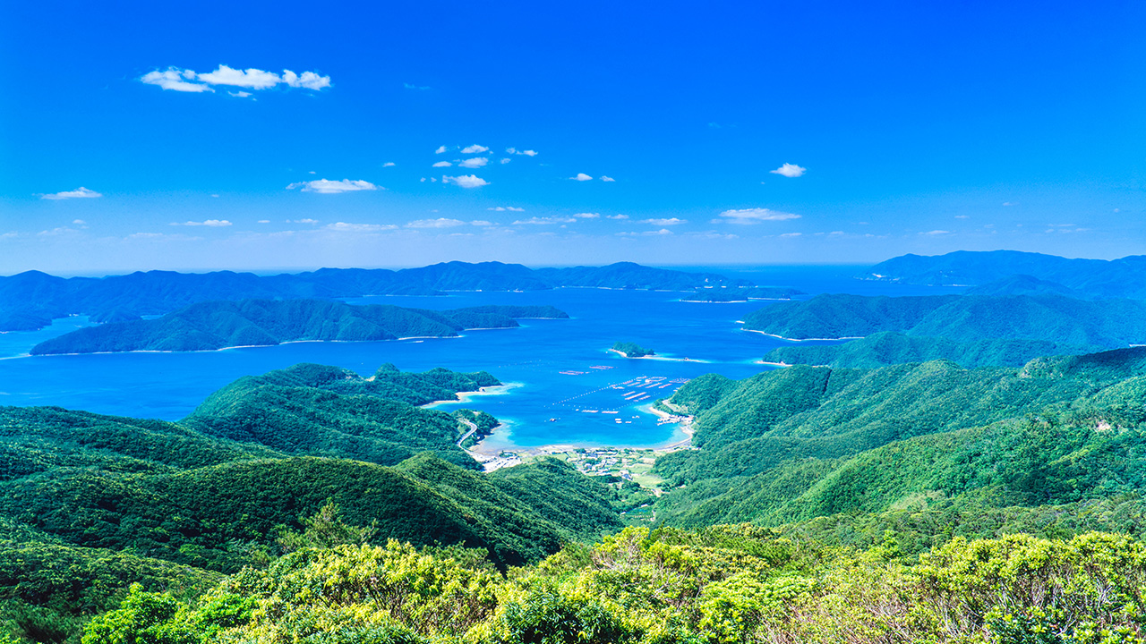 コールドチェーン事業の環境への取り組み