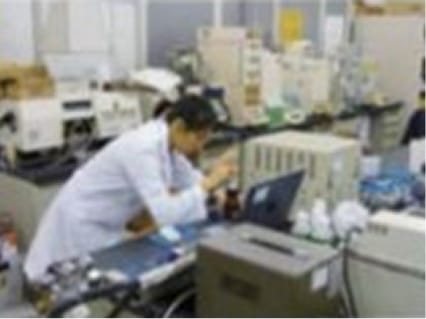 ②実験分析 画像