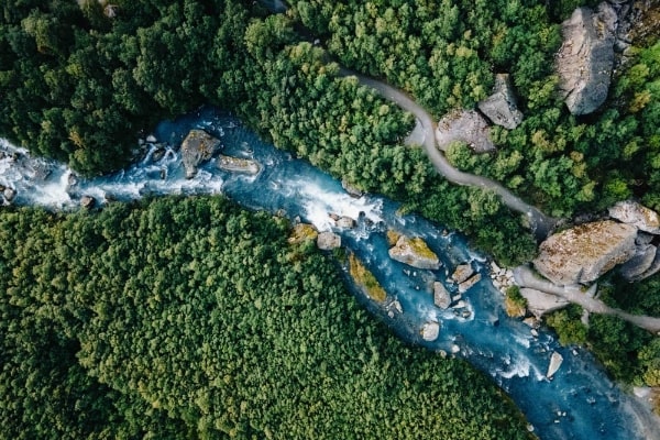 森の中を川が流れる画像