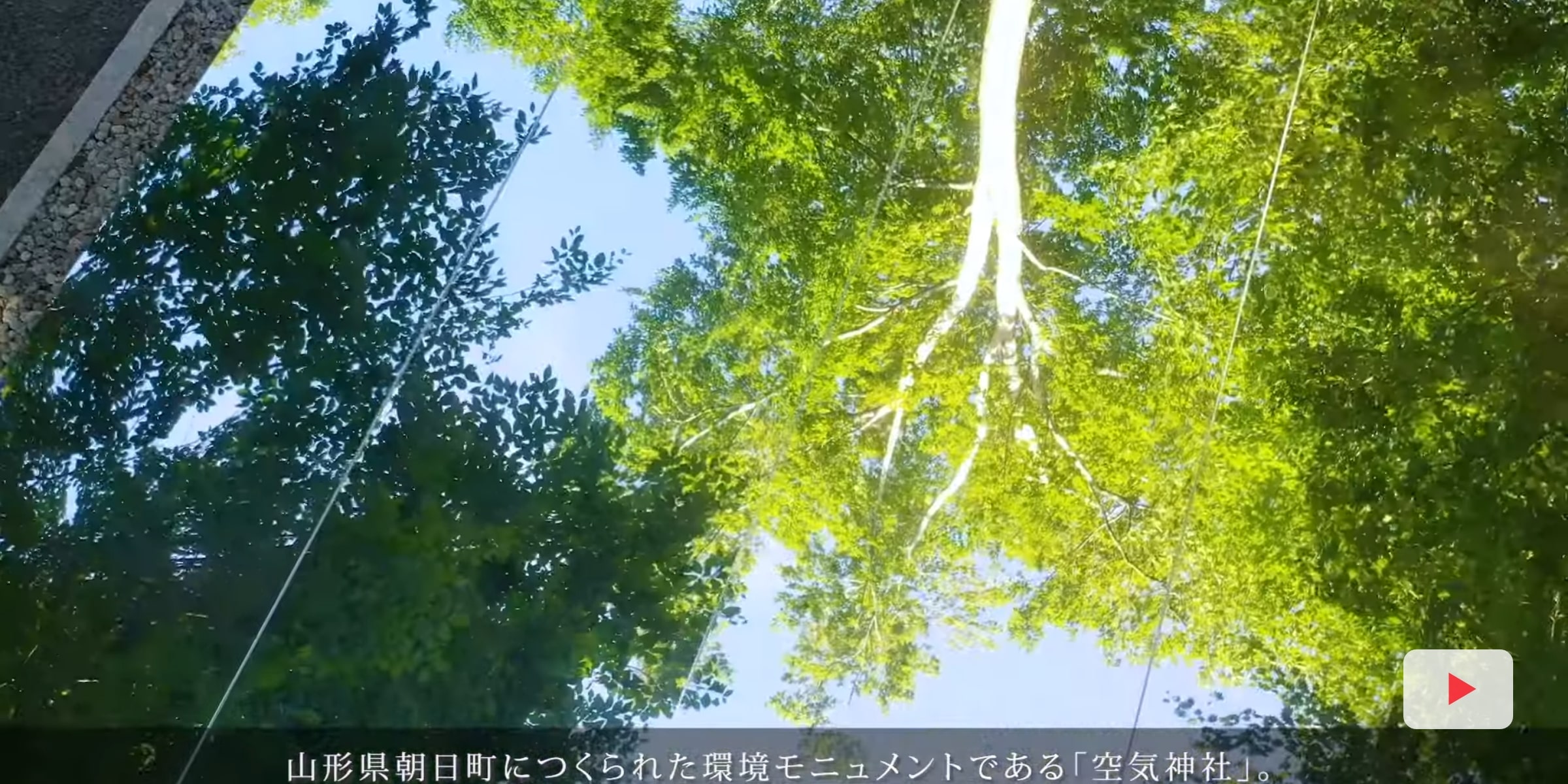 山形県朝日町「空気神社」の新緑が美しい画像