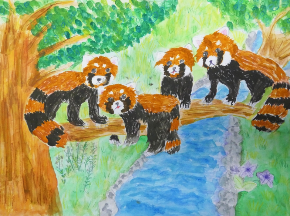 わたしのだいすきなレッサーパンダ