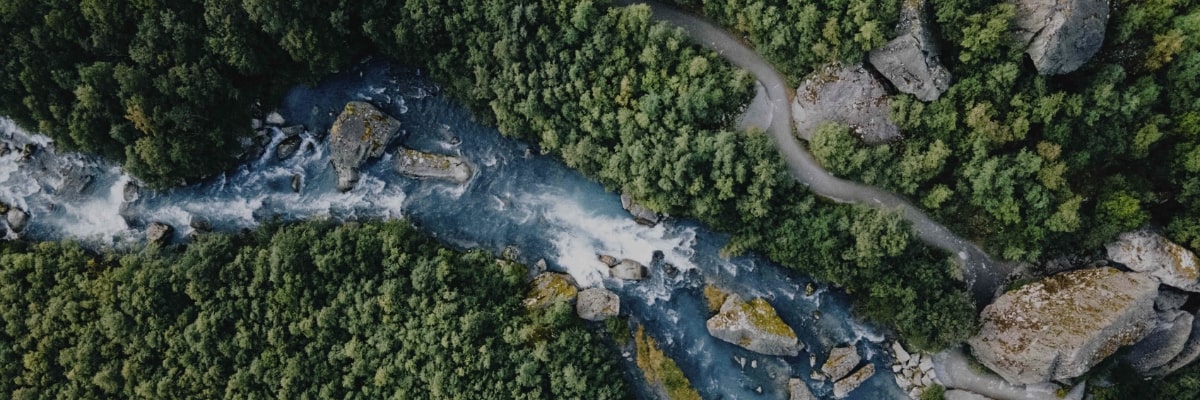 森林と河川の上空写真、環境への取り組みのイメージ画像