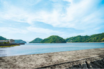 多種多様な魚が水揚げされる近隣の瀬戸内海 安芸灘